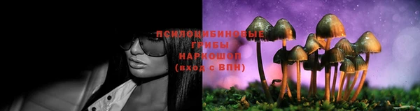 мет Алзамай